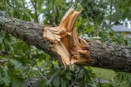 Describe the damage